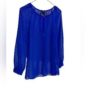 Royal blue sheer J. Crew top. Size XS. Excellent condition.